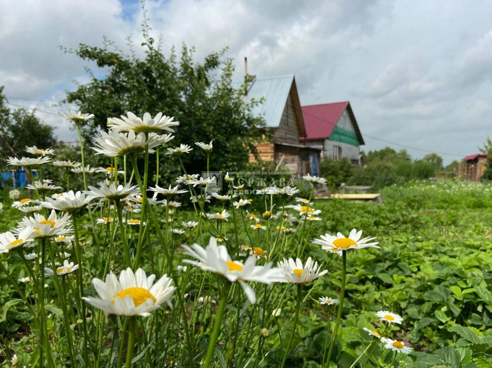 Купить Участок Земли В Кемерово